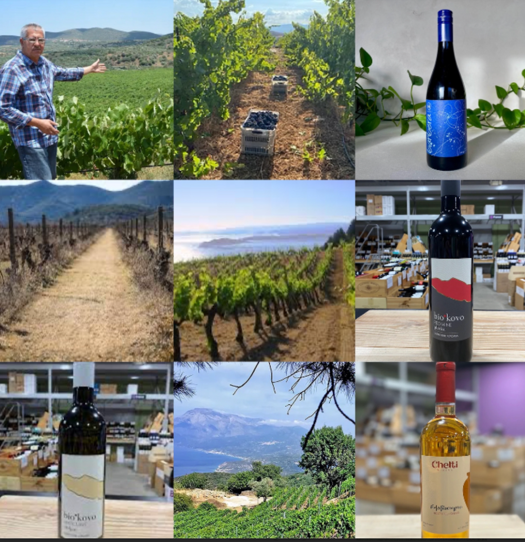The Wines of Eastern Europe & the Mediterranean in NEEDHAM!